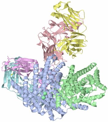 Image Asym./Biol. Unit