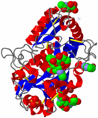 Image Asym./Biol. Unit