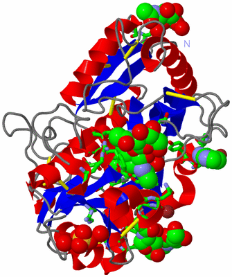 Image Asym./Biol. Unit - sites