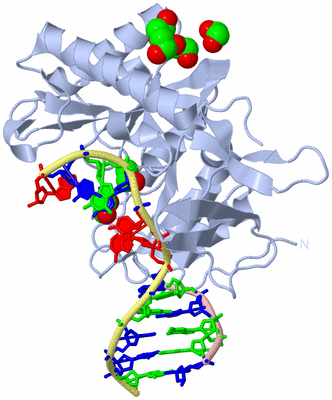 Image Biological Unit 1