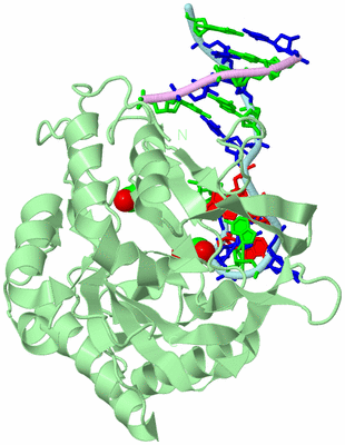 Image Biological Unit 2