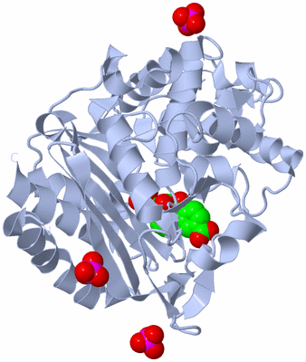 Image Biological Unit 1