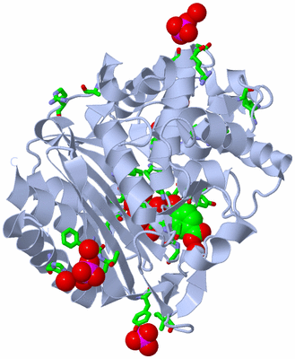 Image Biol. Unit 1 - sites