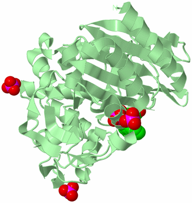 Image Biological Unit 2