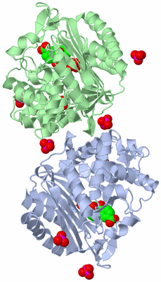 Image Biological Unit 3