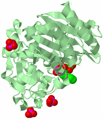 Image Biological Unit 2