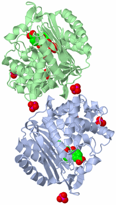 Image Biological Unit 3