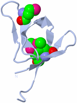 Image Biological Unit 1