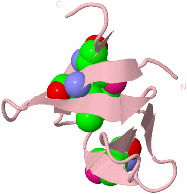 Image Biological Unit 3