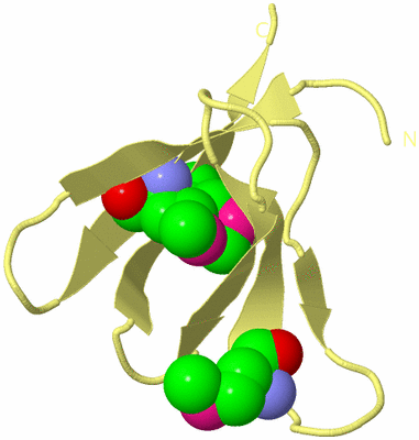 Image Biological Unit 4