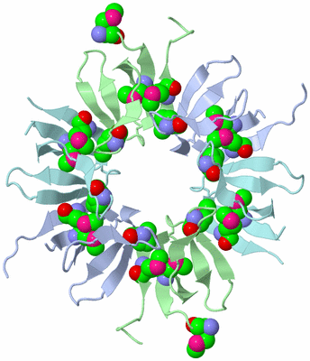 Image Biological Unit 7