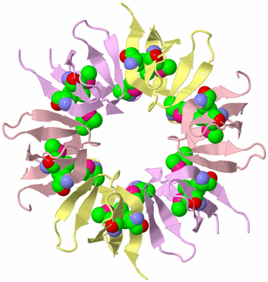 Image Biological Unit 8