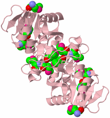 Image Biological Unit 2