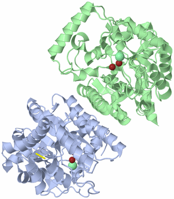 Image Biological Unit 1