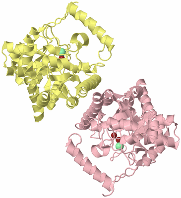 Image Biological Unit 2