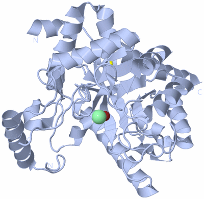 Image Biological Unit 3