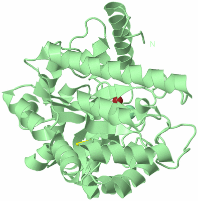 Image Biological Unit 4