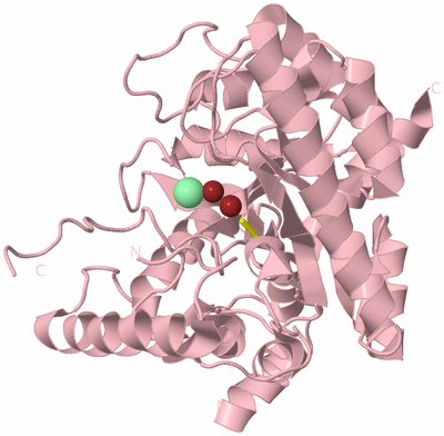 Image Biological Unit 5