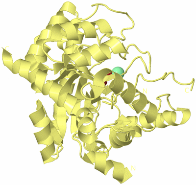 Image Biological Unit 6