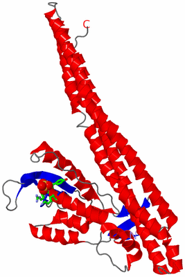 Image Asym. Unit - sites