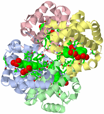 Image Asym./Biol. Unit - sites