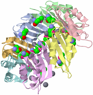 Image Asymmetric Unit