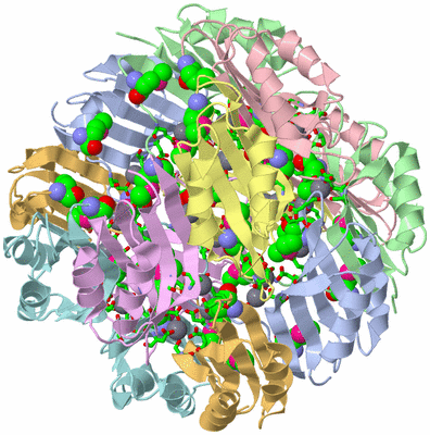 Image Biol. Unit 1 - sites