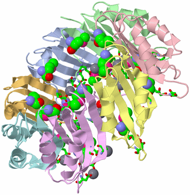 Image Asym. Unit - sites