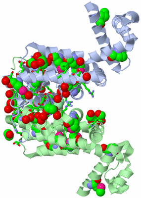 Image Asym./Biol. Unit - sites