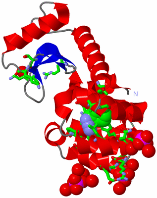 Image Asym./Biol. Unit - sites