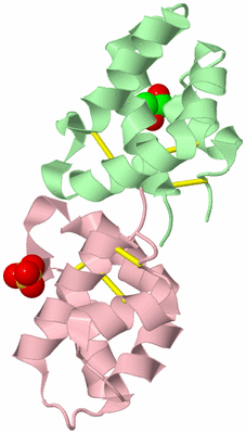 Image Biological Unit 2