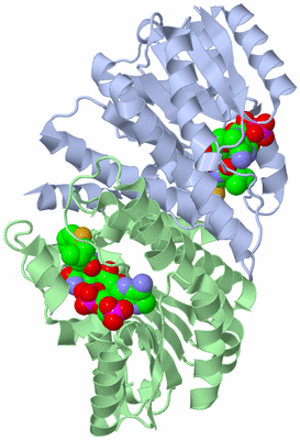 Image Biological Unit 1