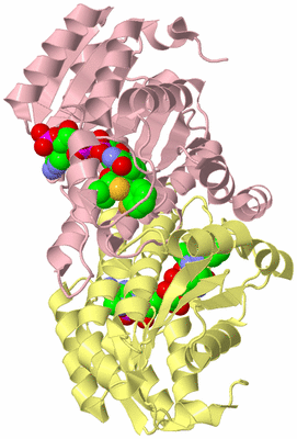 Image Biological Unit 2