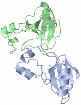 Image Asymmetric Unit