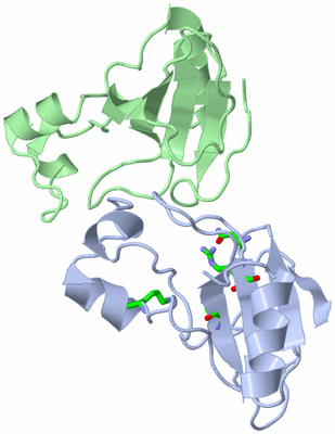 Image Asym. Unit - sites