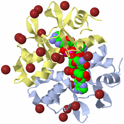 Image Biological Unit 1