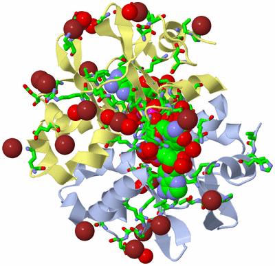 Image Biol. Unit 1 - sites