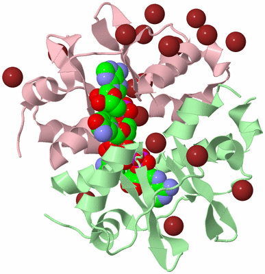 Image Biological Unit 2