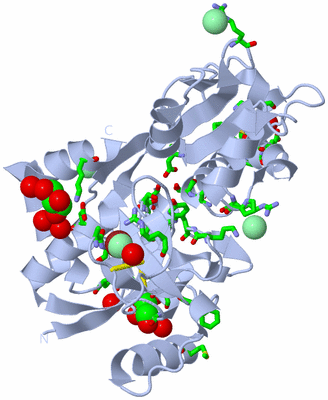 Image Biol. Unit 1 - sites