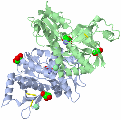 Image Asym./Biol. Unit