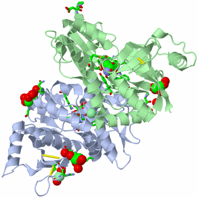 Image Asym./Biol. Unit - sites