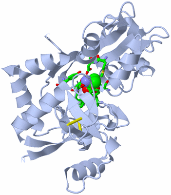 Image Biol. Unit 1 - sites