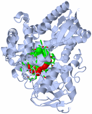 Image Biol. Unit 1 - sites