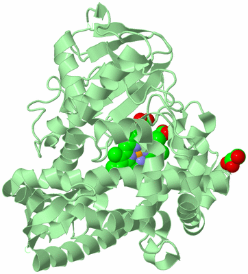 Image Biological Unit 2