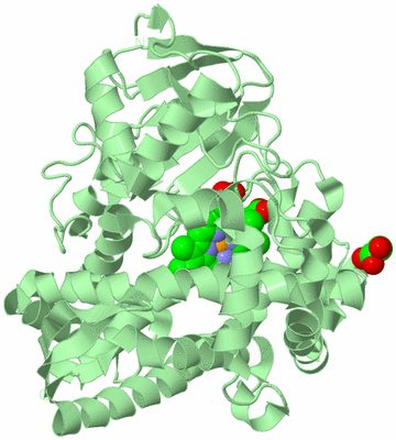 Image Biological Unit 2