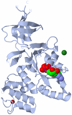 Image Biological Unit 1