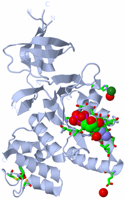 Image Biol. Unit 1 - sites