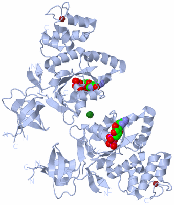 Image Biological Unit 2