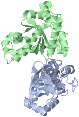 Image Biological Unit 1