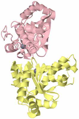 Image Biological Unit 3